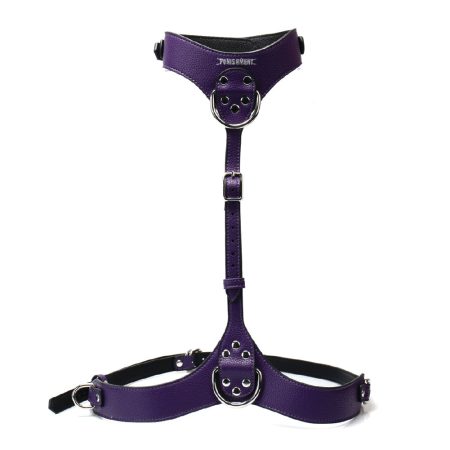 Harnais du corps en argent