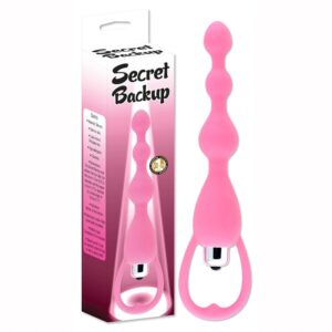 SECRET BACKUP