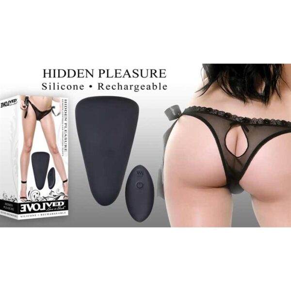 HIDDEN PLEASURE